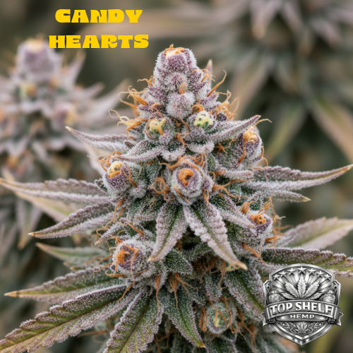 Candy Hearts THCA Flower (Hybrid) | Premium Hemp Flower