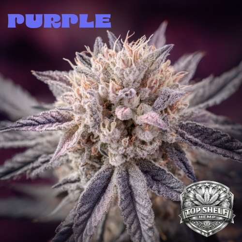 Purple THCA hemp flower premium strain